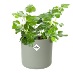 b.for soft round 14cm verde pietra